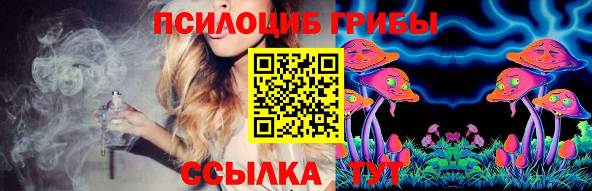Кирово-Чепецк  Псилоцибиновые грибы Psilocybine cubensis  Вход с VPN 