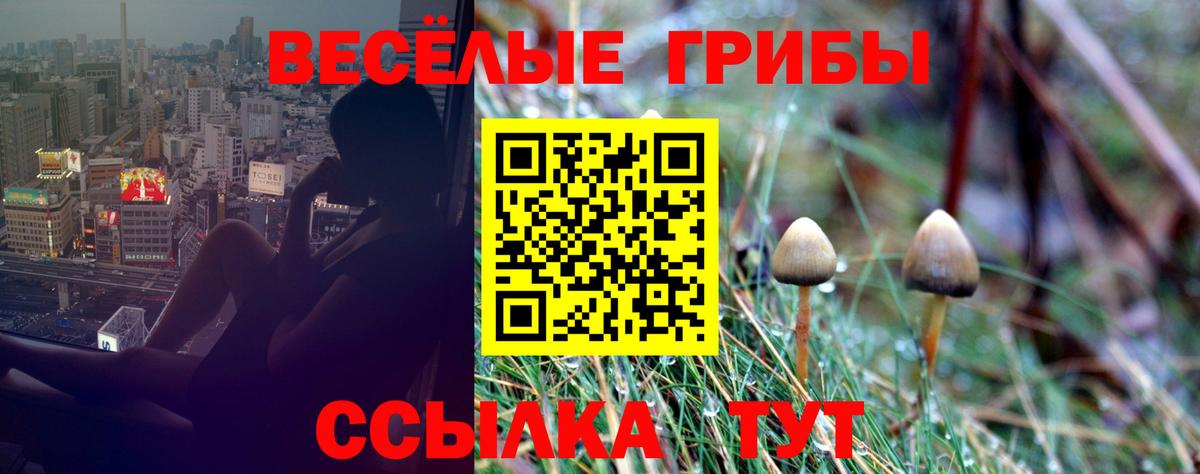 Псилоцибиновые грибы ЛСД Кирово-Чепецк